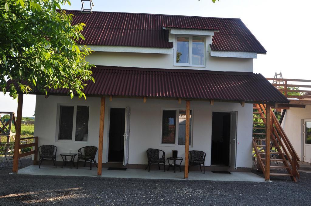 Villa Elena Yanoshi Dış mekan fotoğraf